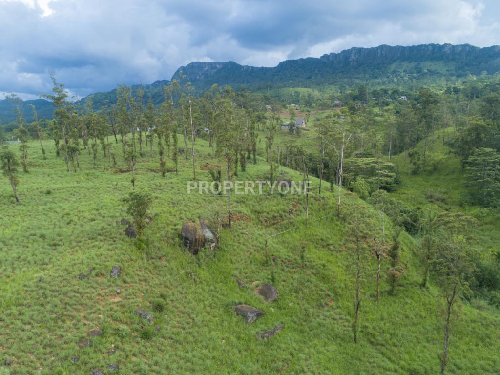 Kandy Land for Sale PropertyOne